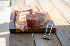 FireBoard Pulse Wireless Thermometer