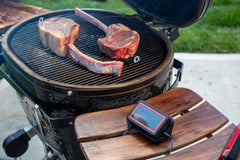 FireBoard Pulse Wireless Thermometer