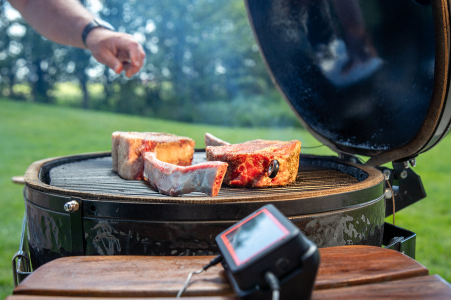 FireBoard Pulse Wireless Thermometer – view 4
