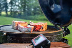 FireBoard Pulse Wireless Thermometer